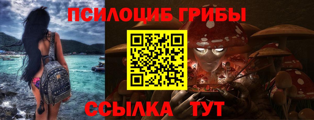 купить   Псилоцибиновые грибы Psilocybe  Вход с VPN  Ханты-Мансийск 